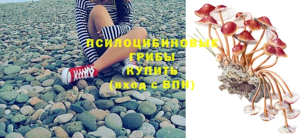 гашик Михайловка