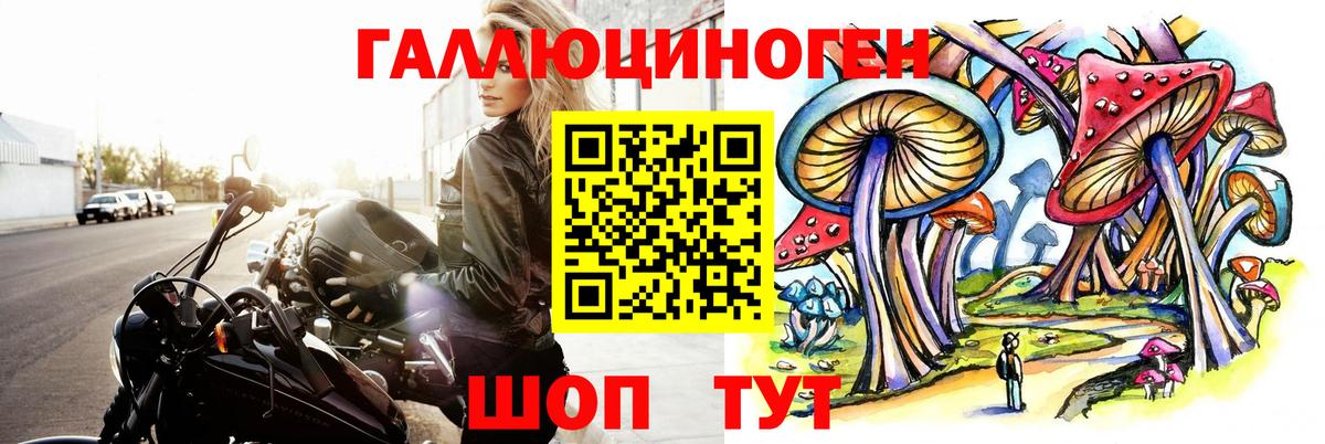 Карабулак  Галлюциногенные грибы Psilocybe  Вход с VPN  Галлюциногенные грибы мицелий 